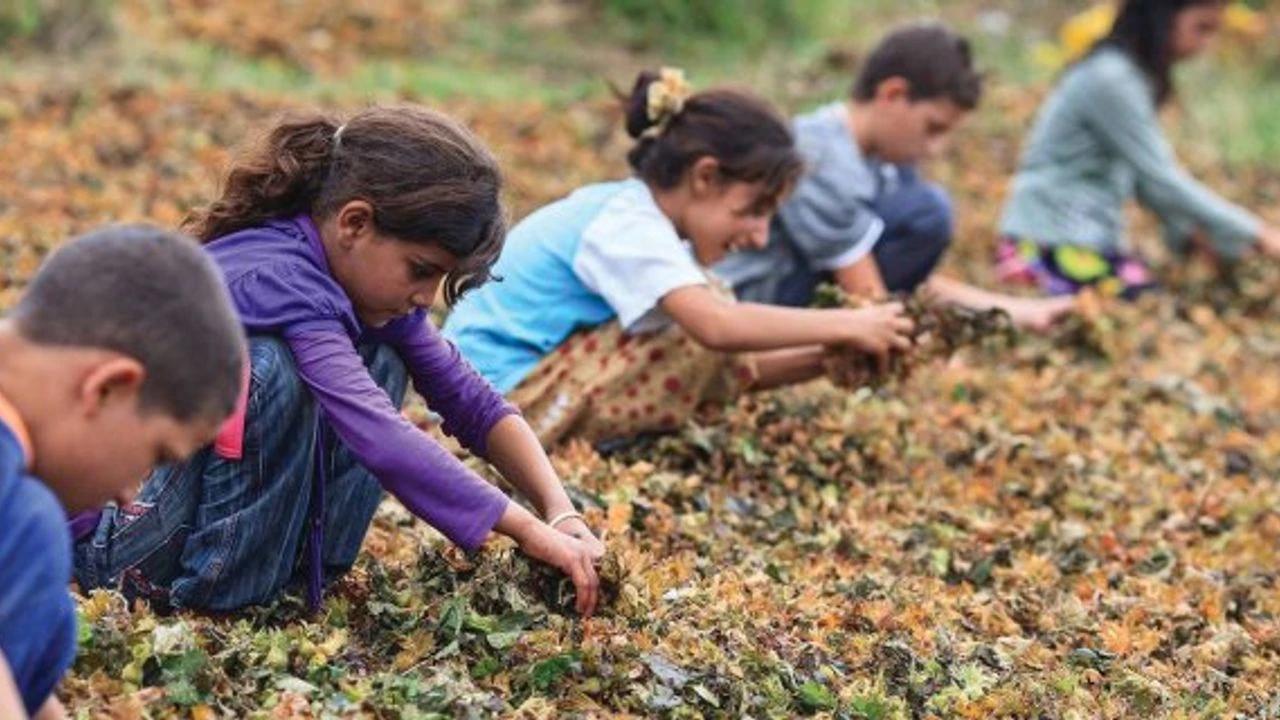 ÇOCUK VE GENÇ İŞÇİLERİN ÇALIŞTIRILMA USUL VE ESASLARI 